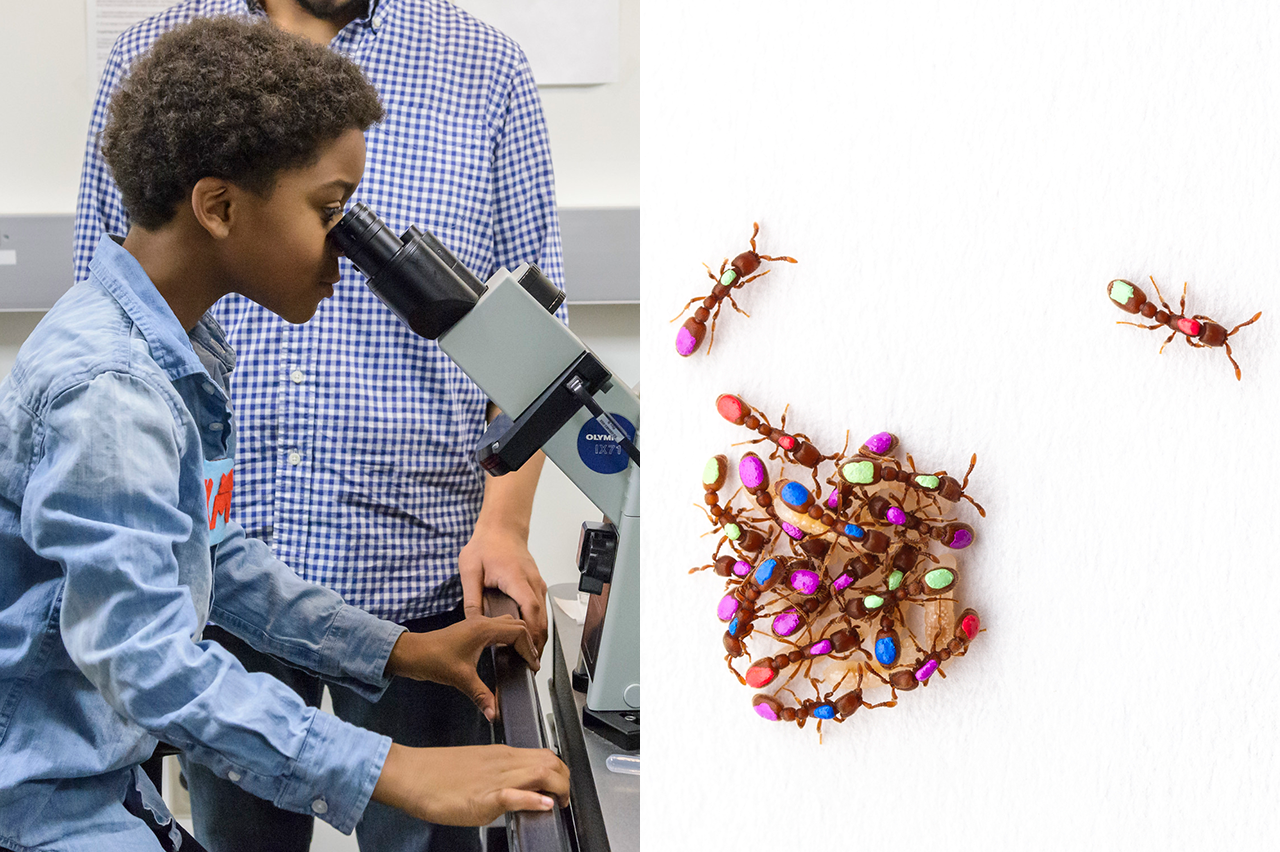 Science Saturday 2021